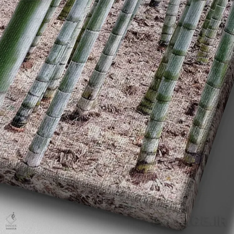 تابلو دکوراتیو "بامبوهای بی پایان" اثر فیلیپ هوگونار - نمای نزدیک بافت بوم