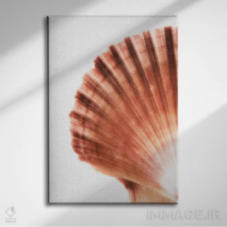تابلو دکوراتیو صدف صدفی اثر فیلیپ هوگونار - نمای روبهرو روی دیوار