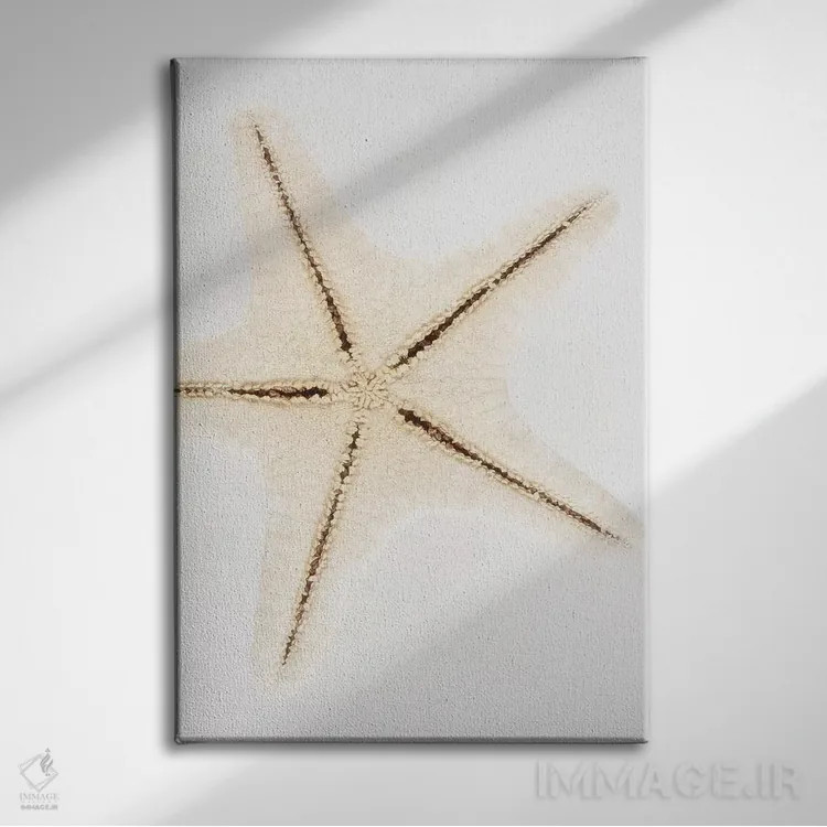 تابلو دکوراتیو ستاره صدفی اثر فیلیپ هوگونار - نمای روبهرو روی دیوار