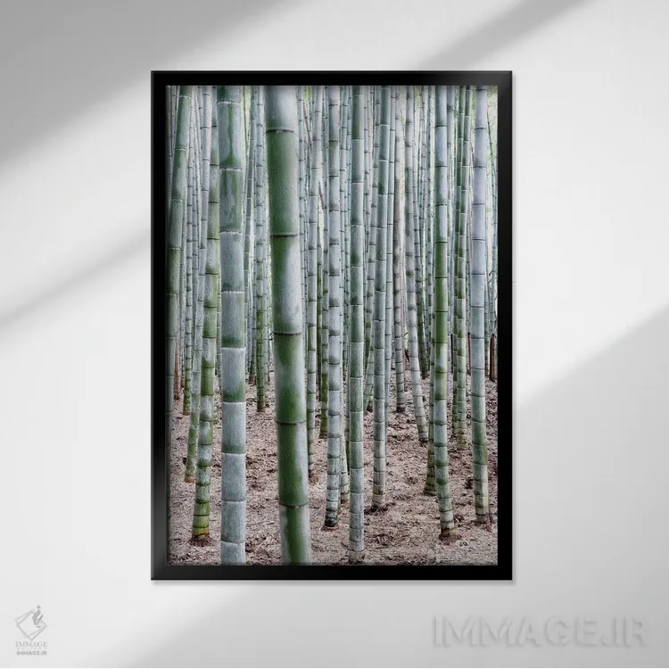 تابلو دکوراتیو "بامبوهای بی پایان" اثر فیلیپ هوگونار - نمای قابدار مشکی