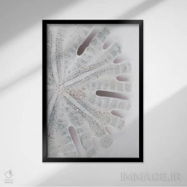 تابلو دکوراتیو "دلار شنی فلوریدا" اثر فیلیپ هوگونار - نمای قابدار مشکی