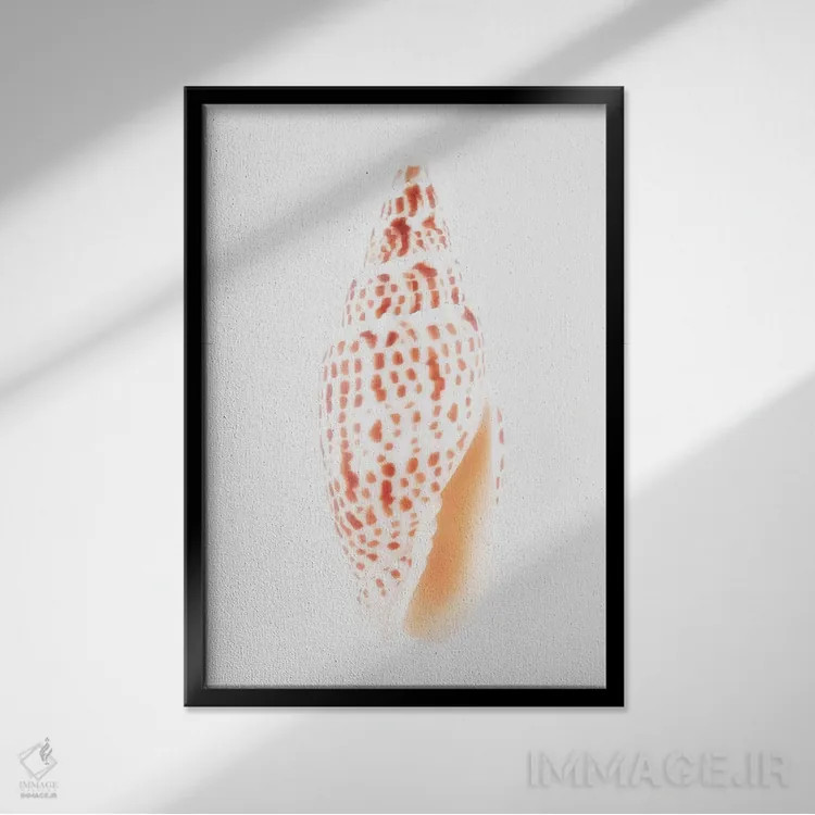 تابلو دکوراتیو صدف میتر اثر فیلیپ هوگونار - نمای قابدار مشکی