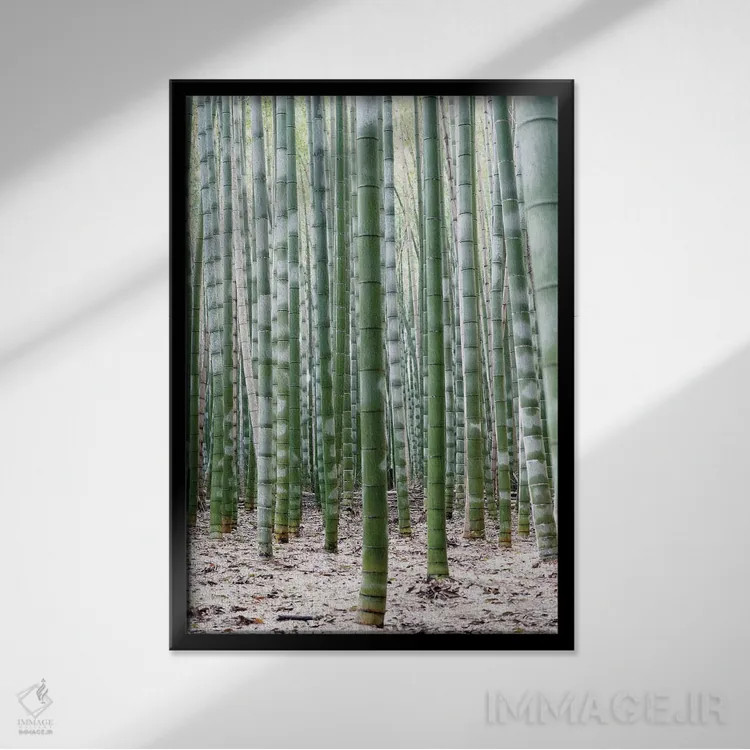 تابلو مینیمال "بامبوهای بی پایان II" اثر فیلیپ هوگونار - نمای قابدار مشکی