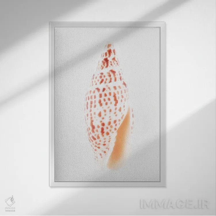 تابلو دکوراتیو صدف میتر اثر فیلیپ هوگونار - نمای قابدار سفید