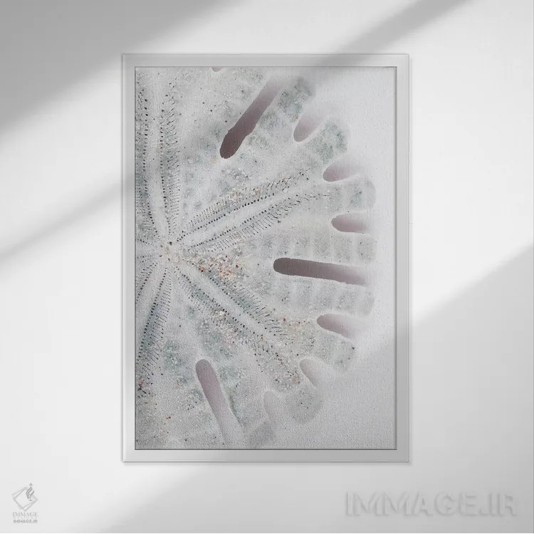 تابلو دکوراتیو "دلار شنی فلوریدا" اثر فیلیپ هوگونار - نمای قابدار سفید