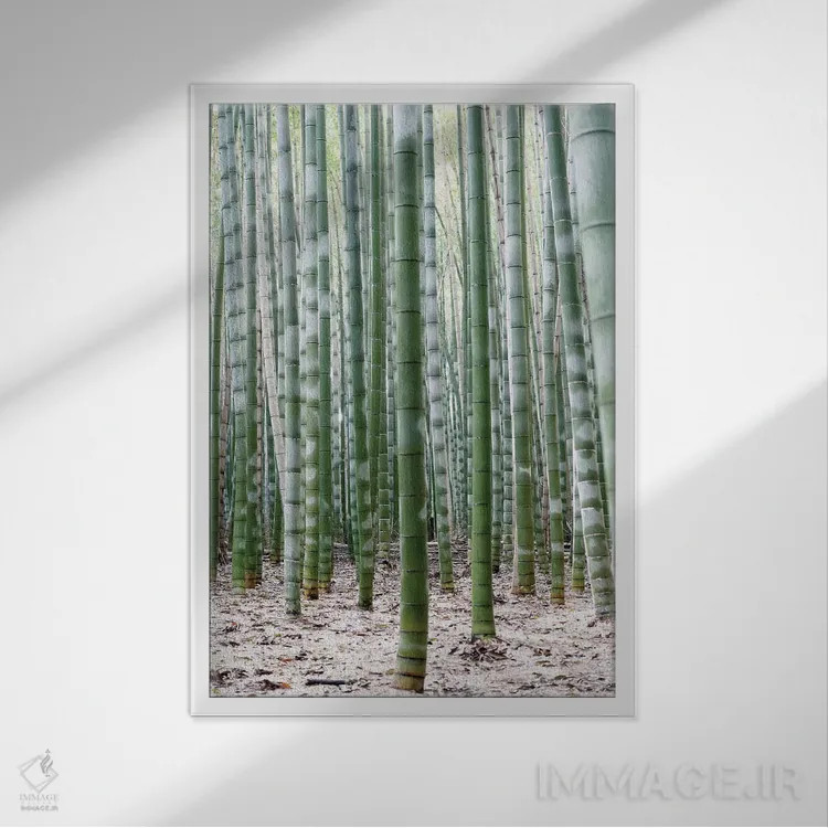 تابلو مینیمال "بامبوهای بی پایان II" اثر فیلیپ هوگونار - نمای قابدار سفید