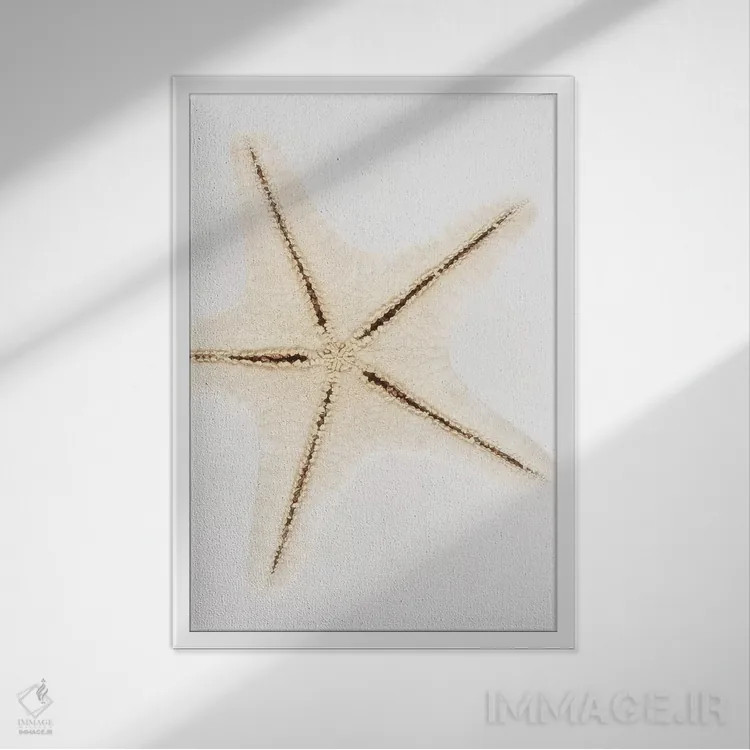 تابلو دکوراتیو ستاره صدفی اثر فیلیپ هوگونار - نمای قابدار سفید