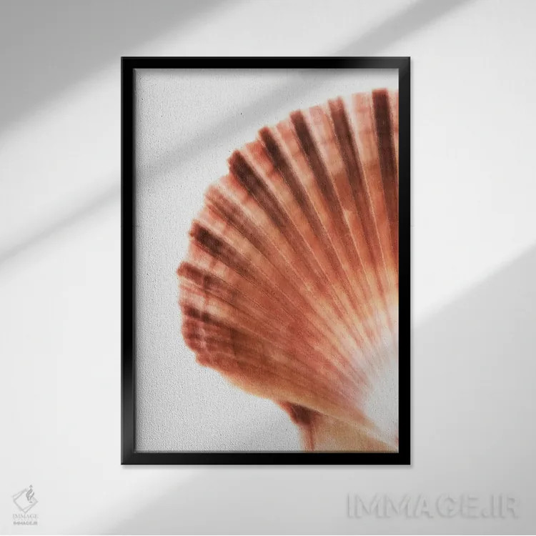 تابلو دکوراتیو صدف صدفی اثر فیلیپ هوگونار - نمای قابدار مشکی