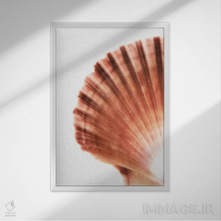 تابلو دکوراتیو صدف صدفی اثر فیلیپ هوگونار - نمای قابدار سفید