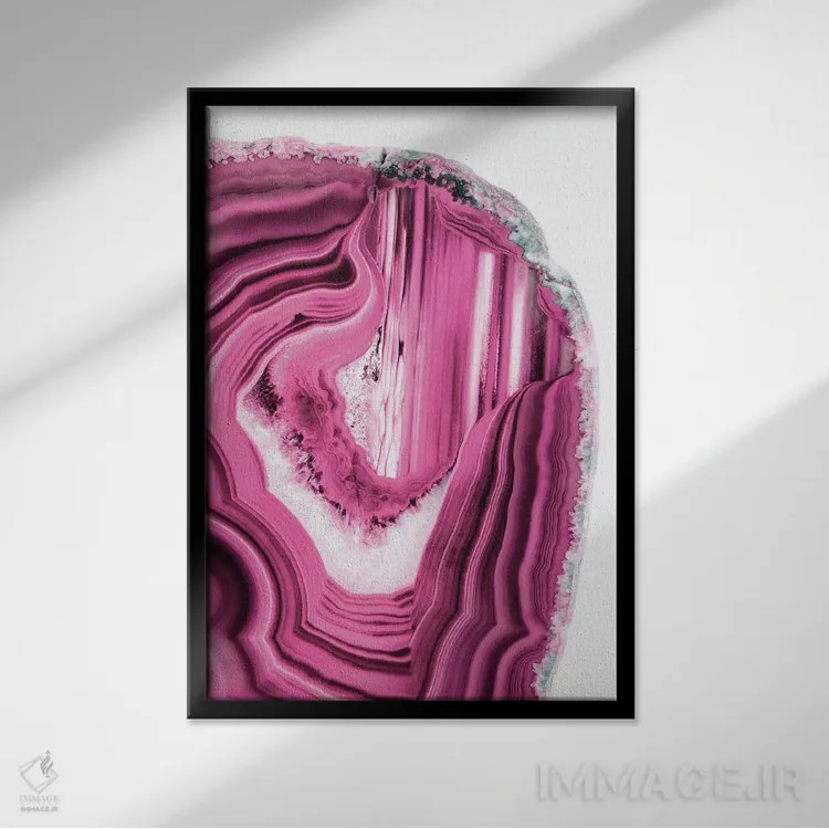 تابلو مدرن آکات صورتی اثر فیلیپ هوگونار - نمای قابدار مشکی