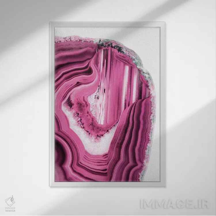 تابلو مدرن آکات صورتی اثر فیلیپ هوگونار - نمای قابدار سفید