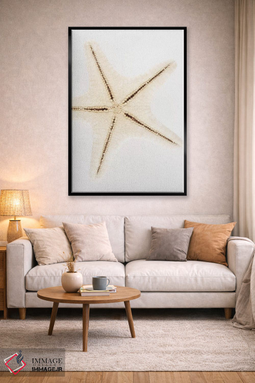 تابلو دکوراتیو ستاره صدفی اثر فیلیپ هوگونار - D1B