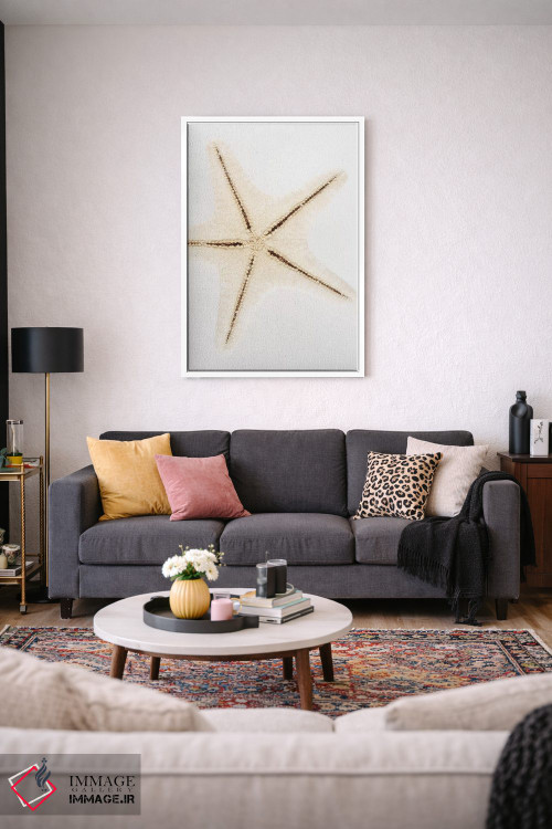 تابلو دکوراتیو ستاره صدفی اثر فیلیپ هوگونار - D2W