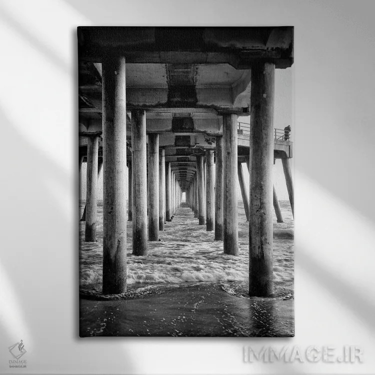 تابلو دکوراتیو سری سیاه کالیفرنیا اثر فیلیپ هوگونار - نمای روبهرو روی دیوار
