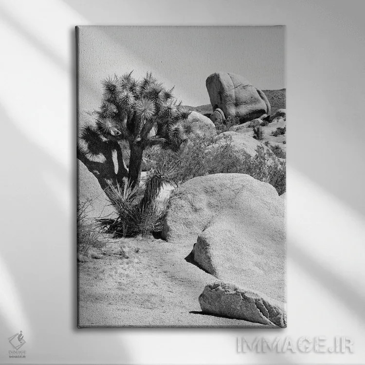 تابلو دکوراتیو "سری سیاه کالیفرنیا" اثر فیلیپ هوگونار - نمای روبهرو روی دیوار