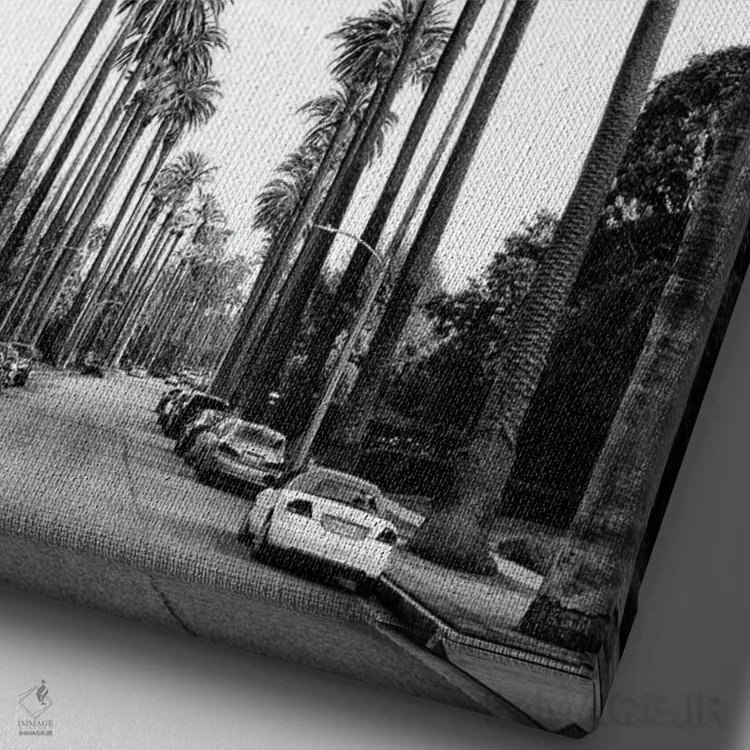 تابلو دکوراتیو سری سیاه کالیفرنیا اثر فیلیپ هوگونار - نمای نزدیک بافت بوم