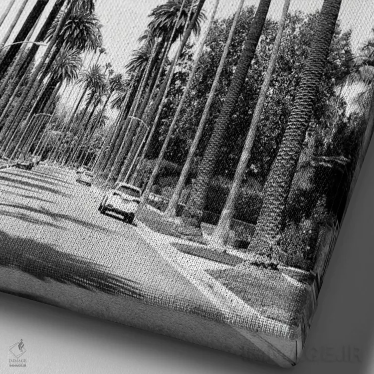 تابلو دکوراتیو سری سیاه کالیفرنیا اثر فیلیپ هوگونار - نمای نزدیک بافت بوم