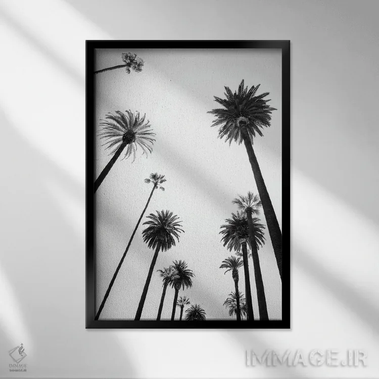 تابلو دکوراتیو سری سیاه کالیفرنیا اثر فیلیپ هوگونار - نمای قابدار مشکی