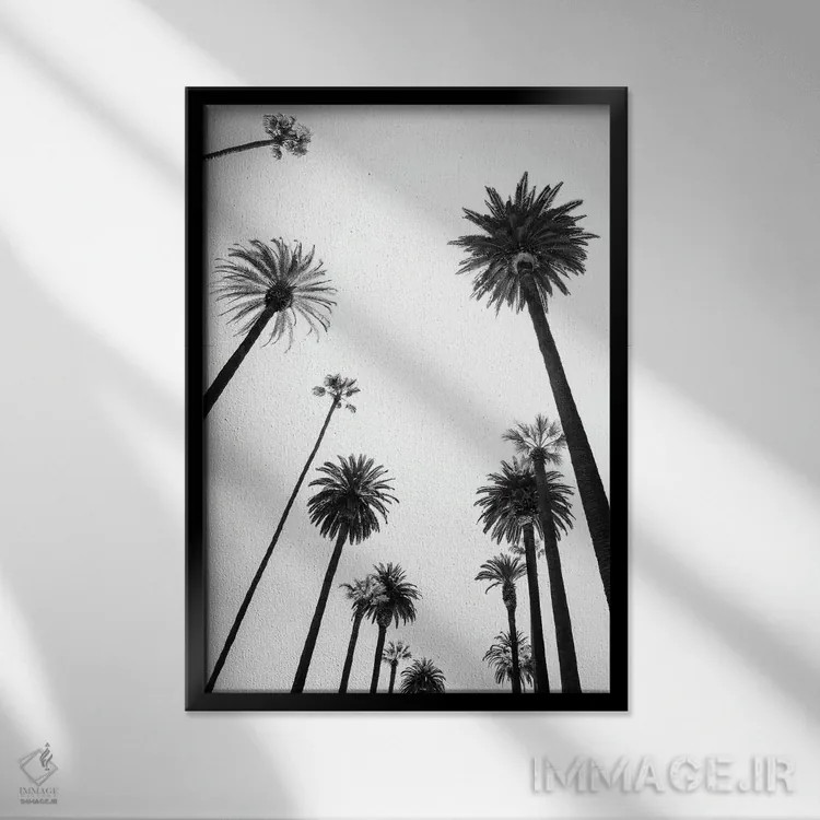 تابلو دکوراتیو سری سیاه کالیفرنیا اثر فیلیپ هوگونار - نمای قابدار مشکی