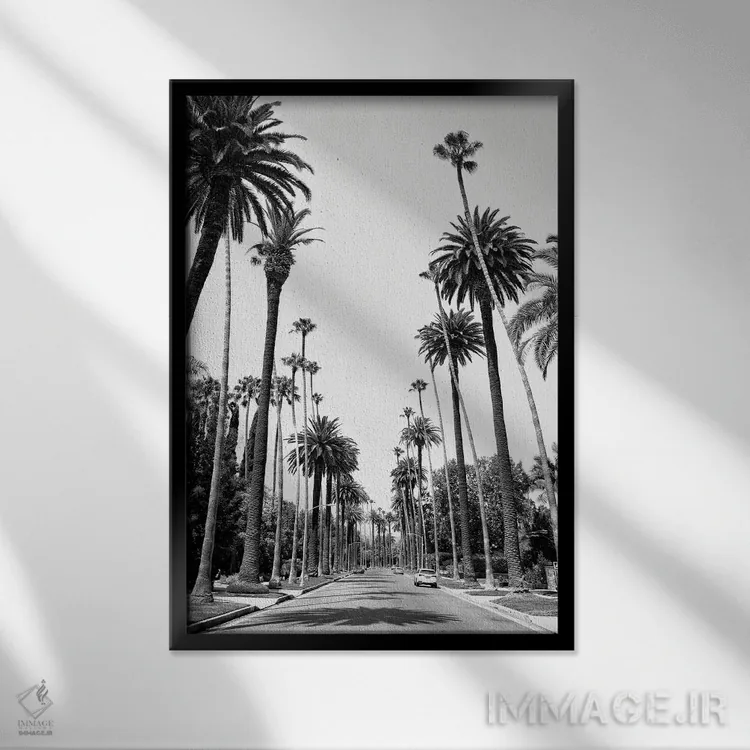 تابلو دکوراتیو سری سیاه کالیفرنیا اثر فیلیپ هوگونار - نمای قابدار مشکی