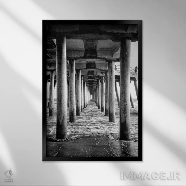 تابلو دکوراتیو سری سیاه کالیفرنیا اثر فیلیپ هوگونار - نمای قابدار مشکی