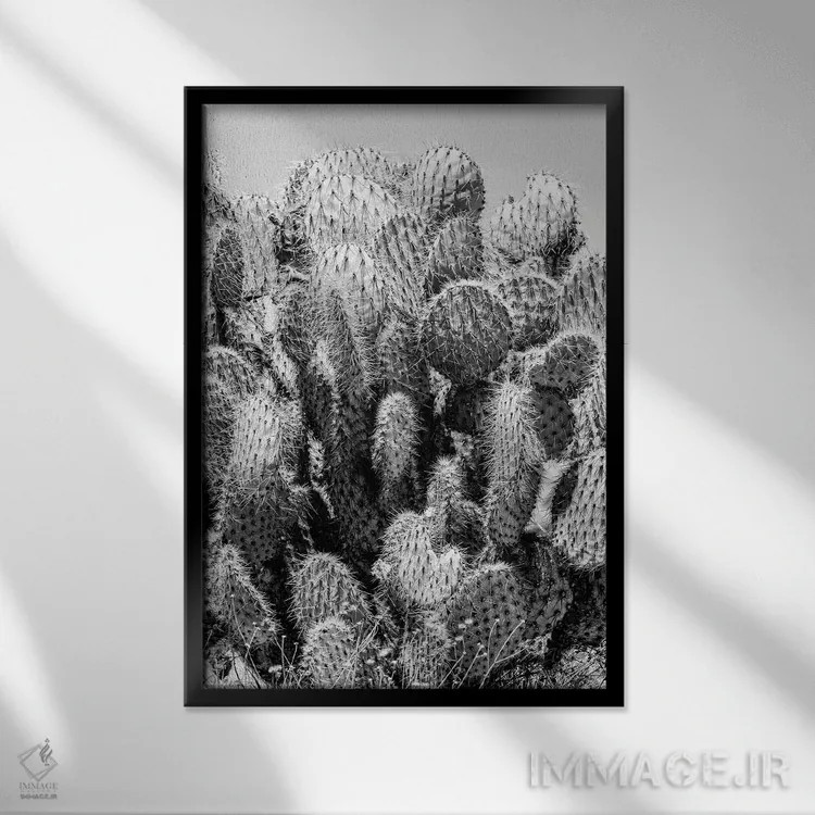تابلو دکوراتیو "سری سیاه کالیفرنیا" اثر فیلیپ هوگونار - نمای قابدار مشکی