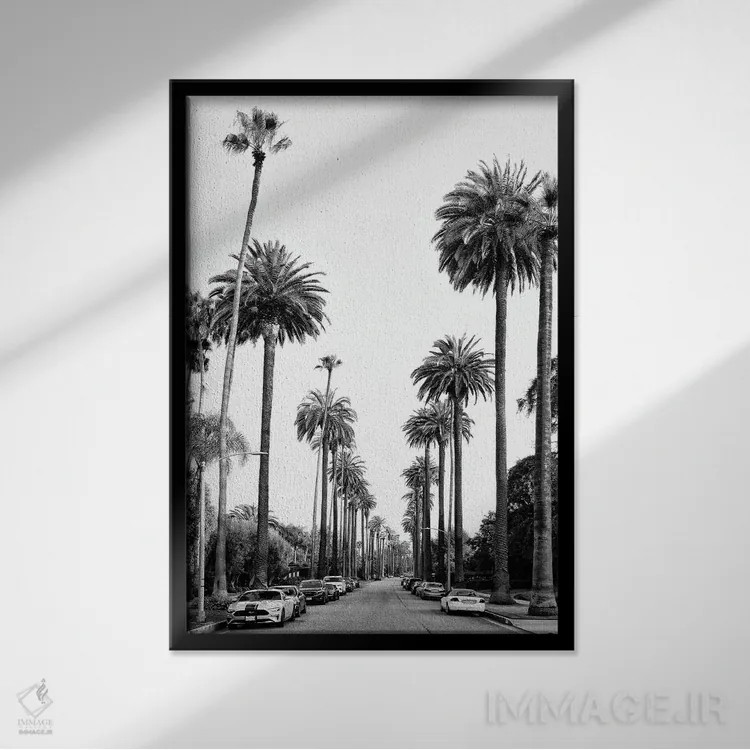 تابلو دکوراتیو سری سیاه کالیفرنیا اثر فیلیپ هوگونار - نمای قابدار مشکی