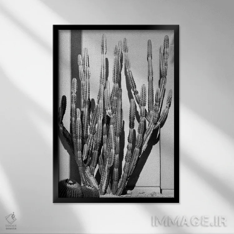 تابلو دکوراتیو سری سیاه کالیفرنیا اثر فیلیپ هوگونار - نمای قابدار مشکی