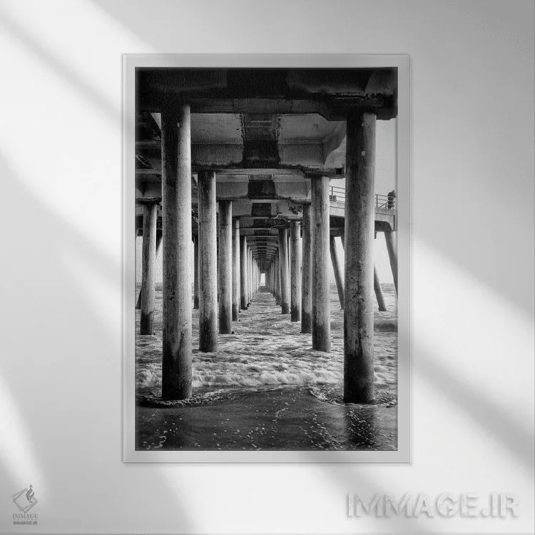 تابلو دکوراتیو سری سیاه کالیفرنیا اثر فیلیپ هوگونار - نمای قابدار سفید