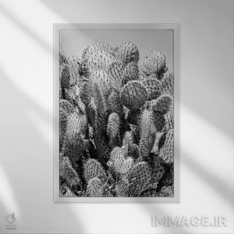 تابلو دکوراتیو "سری سیاه کالیفرنیا" اثر فیلیپ هوگونار - نمای قابدار سفید
