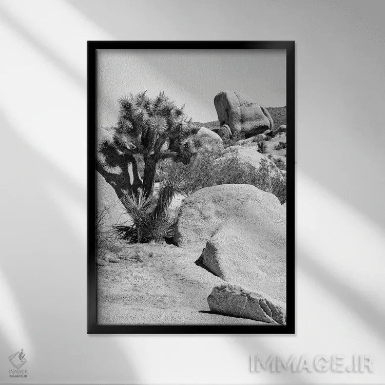 تابلو دکوراتیو "سری سیاه کالیفرنیا" اثر فیلیپ هوگونار - نمای قابدار مشکی