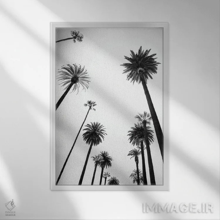 تابلو دکوراتیو سری سیاه کالیفرنیا اثر فیلیپ هوگونار - نمای قابدار سفید