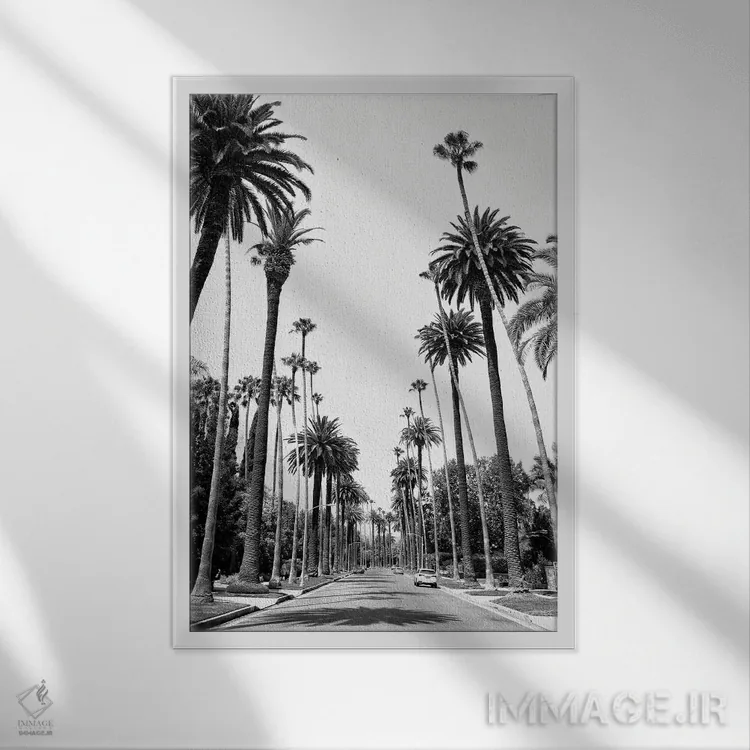 تابلو دکوراتیو سری سیاه کالیفرنیا اثر فیلیپ هوگونار - نمای قابدار سفید