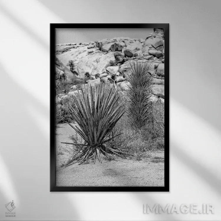 تابلو دکوراتیو سری سیاه کالیفرنیا اثر فیلیپ هوگونار - نمای قابدار مشکی