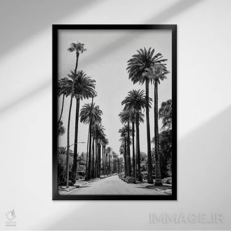 تابلو دکوراتیو سری سیاه کالیفرنیا اثر فیلیپ هوگونار - نمای قابدار مشکی