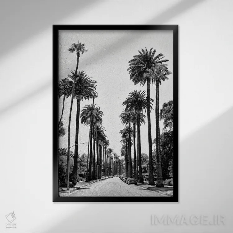 تابلو دکوراتیو سری سیاه کالیفرنیا اثر فیلیپ هوگونار - نمای قابدار مشکی