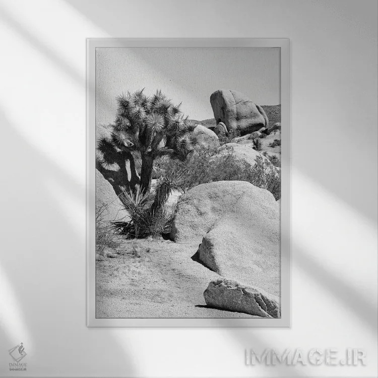 تابلو دکوراتیو "سری سیاه کالیفرنیا" اثر فیلیپ هوگونار - نمای قابدار سفید