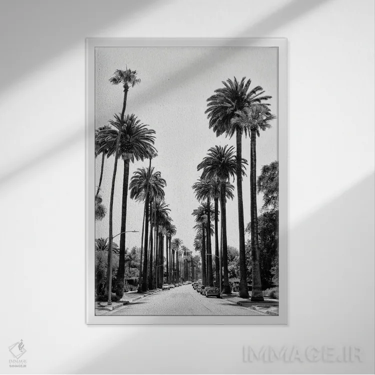 تابلو دکوراتیو سری سیاه کالیفرنیا اثر فیلیپ هوگونار - نمای قابدار سفید