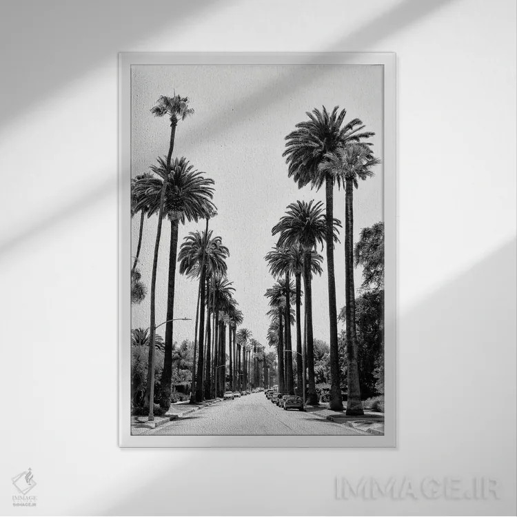 تابلو دکوراتیو سری سیاه کالیفرنیا اثر فیلیپ هوگونار - نمای قابدار سفید