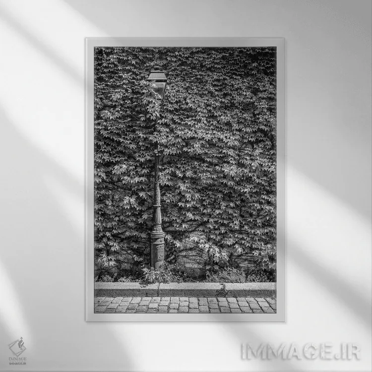 تابلو دکوراتیو سری سیاه مون مارتر اثر فیلیپ هوگونار - نمای قابدار سفید