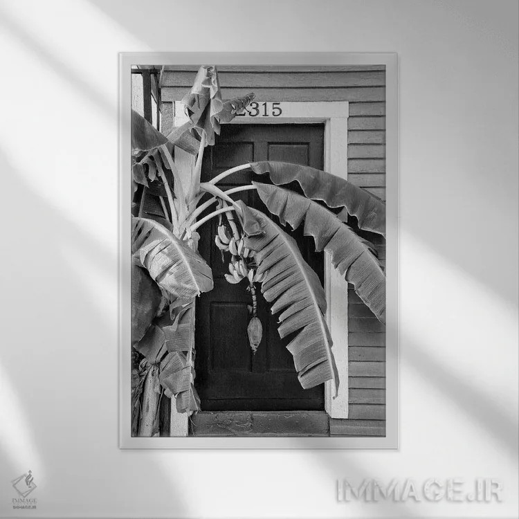 تابلو دکوراتیو سری سیاه نیواورلئان اثر فیلیپ هوگونار - نمای قابدار سفید