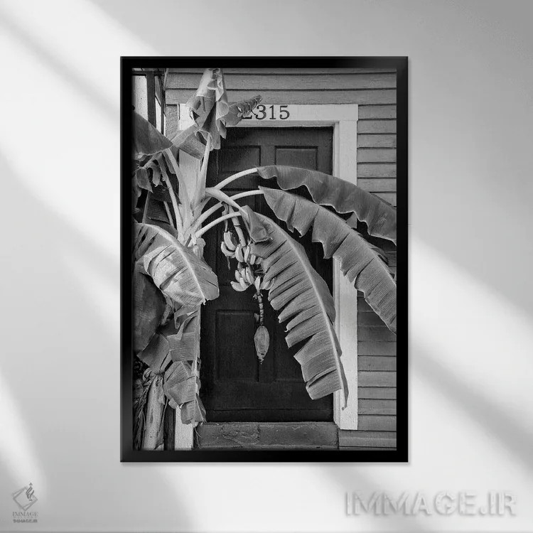 تابلو دکوراتیو سری سیاه نیواورلئان اثر فیلیپ هوگونار - نمای قابدار مشکی