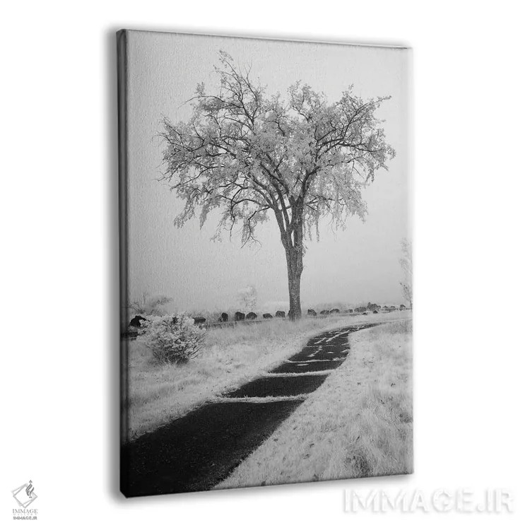 تابلو دکوراتیو Minnesota, Duluth, Park Point, Boardwalk Over Dunes" - "ای… اثر پیتر هاوکینز - نمای پرسپکتیو محصول