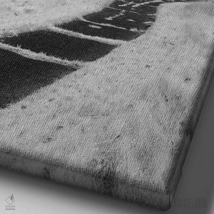 تابلو دکوراتیو Minnesota, Duluth, Park Point, Boardwalk Over Dunes" - "ای… اثر پیتر هاوکینز - نمای نزدیک بافت بوم