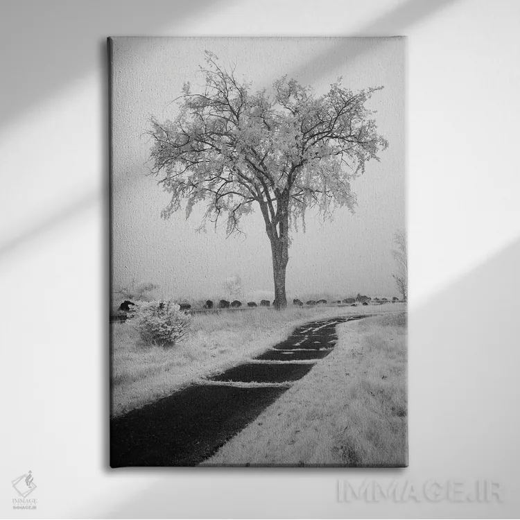 تابلو دکوراتیو Minnesota, Duluth, Park Point, Boardwalk Over Dunes" - "ای… اثر پیتر هاوکینز - نمای روبهرو روی دیوار