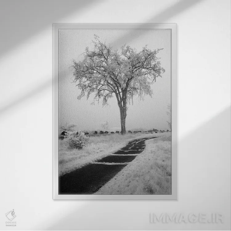 تابلو دکوراتیو Minnesota, Duluth, Park Point, Boardwalk Over Dunes" - "ای… اثر پیتر هاوکینز - نمای قابدار سفید