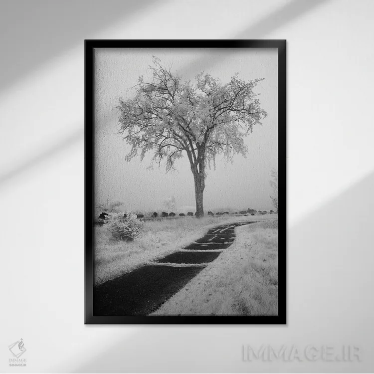تابلو دکوراتیو Minnesota, Duluth, Park Point, Boardwalk Over Dunes" - "ای… اثر پیتر هاوکینز - نمای قابدار مشکی