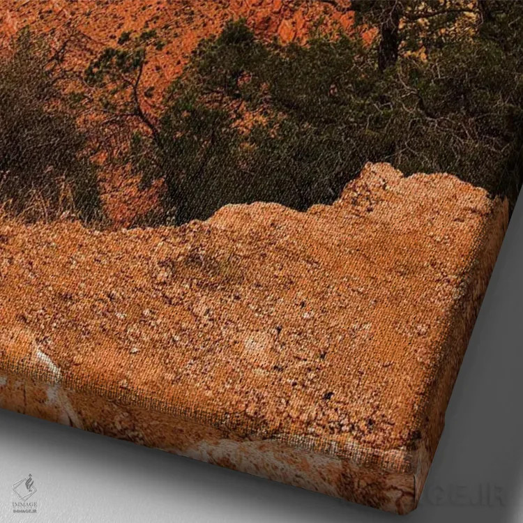 تابلو دکوراتیو Arizona, Grand Canyon National Park South Rim I" - "ایالات… اثر پیتر هاوکینز - نمای نزدیک بافت بوم