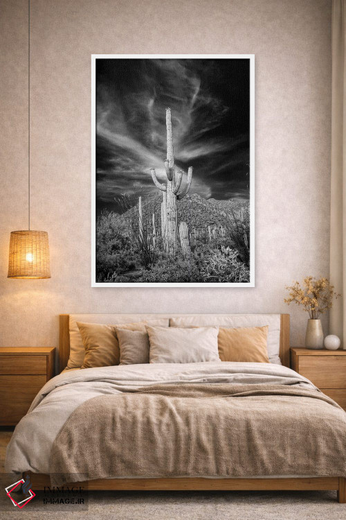 تابلو دکوراتیو Arizona, Tucson, Saguaro National Park III" - "ایالات متحد… اثر پیتر هاوکینز - D1W