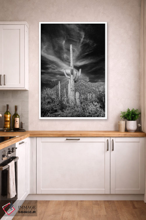 تابلو دکوراتیو Arizona, Tucson, Saguaro National Park III" - "ایالات متحد… اثر پیتر هاوکینز - D3W